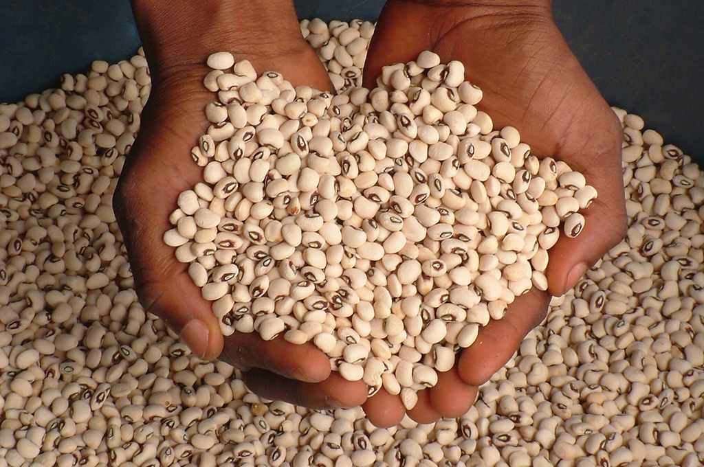 Vacante  Scandinavia